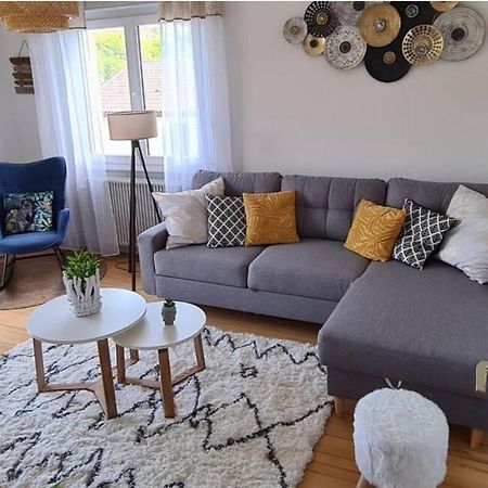 Appartement Cocooning Corcieux Екстер'єр фото