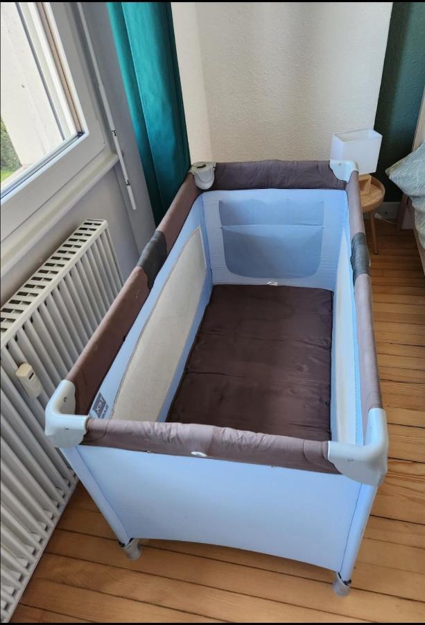 Appartement Cocooning Corcieux Екстер'єр фото
